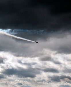 Mustang in Flight