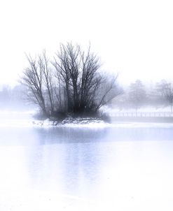 Island In The Canal