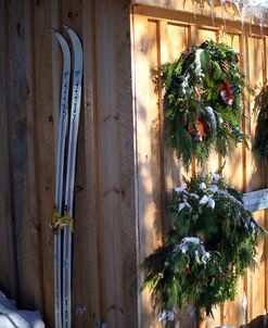 Skis On Shed