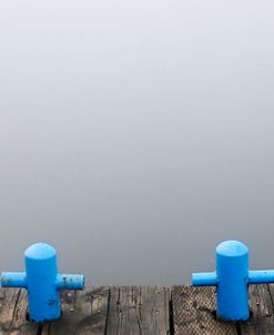 Blue Moors At Dow’s Lake