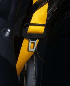 Seatbelt From Exotic Car