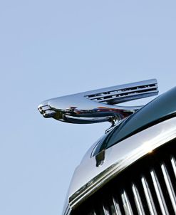 Buick Hood Ornament