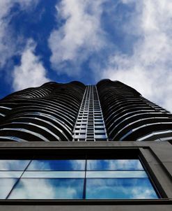 Reaching For The Sky