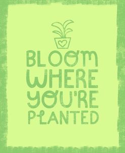 Bloom Where Planted