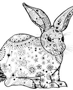 Constellation Rabbit