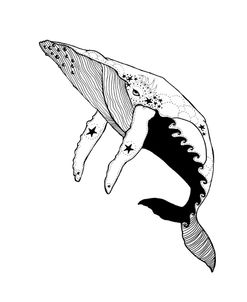 Chuffy the Star Whale