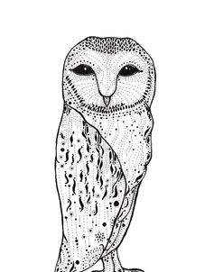 Sophia the Owl