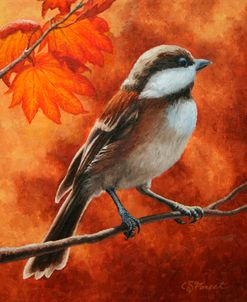 Autumn Chickadee