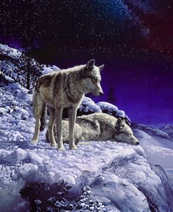 Night Watch Wolves