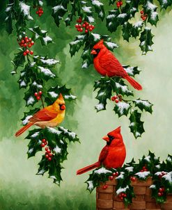 Cardinals Hollies with Snow