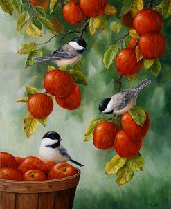 Apple Harvest Chickadees