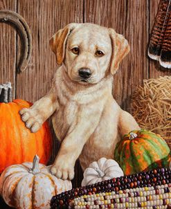 Pumpkin Harvest Puppy