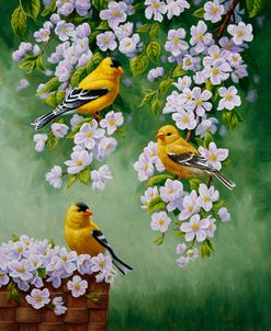 Goldfinch Blossoms