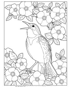 State Birds And Flowers ND
