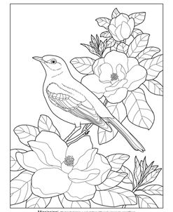 State Birds And Flowers MS