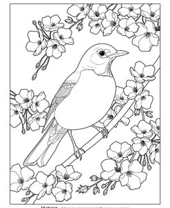 State Birds And Flowers MI