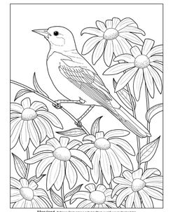 State Birds And Flowers MD