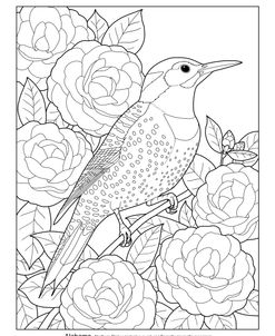 State Birds And Flowers AL