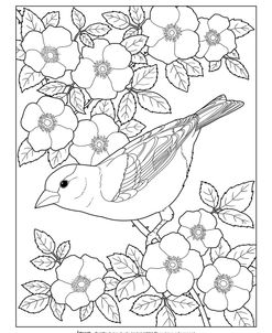 State Birds And Flowers IA