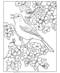 State Birds And Flowers AR