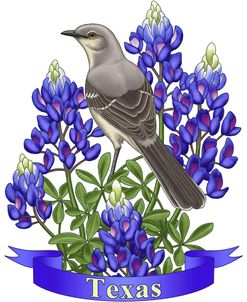 State Birds And Flowers TX 2 – Color