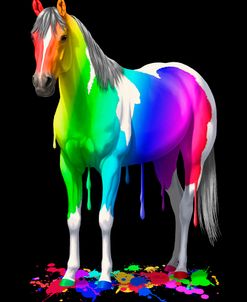 Rainbow Paint Horse