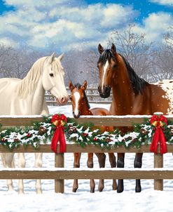 Horse Family-White Christmas