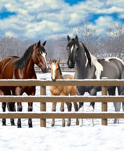 Horse Family Winter