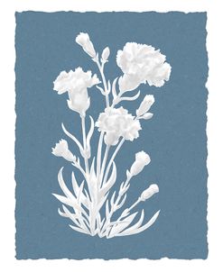 Carnations-White-on-Blue