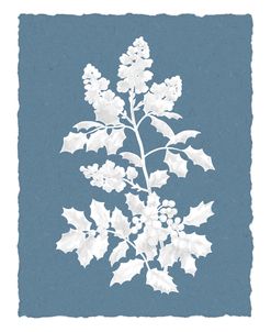 Oregon-Grape-White-on-Blue