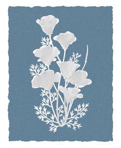 Poppies-White-on-Blue