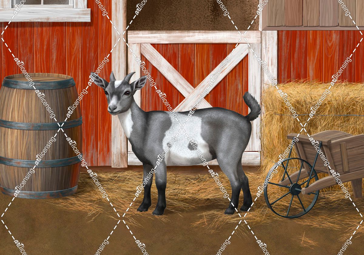 Gray Spotted Goat In Barnyard