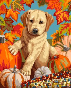 Autumn Harvest Puppy Retro