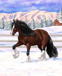 Bay Gypsy Vanner In Snow