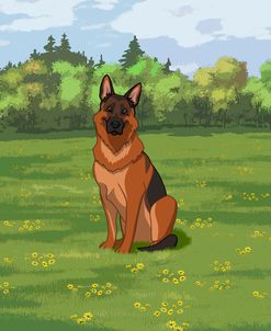 German Shepherd Dog In Summer Field