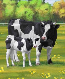Holstein Cow Calf In Summer Pasture