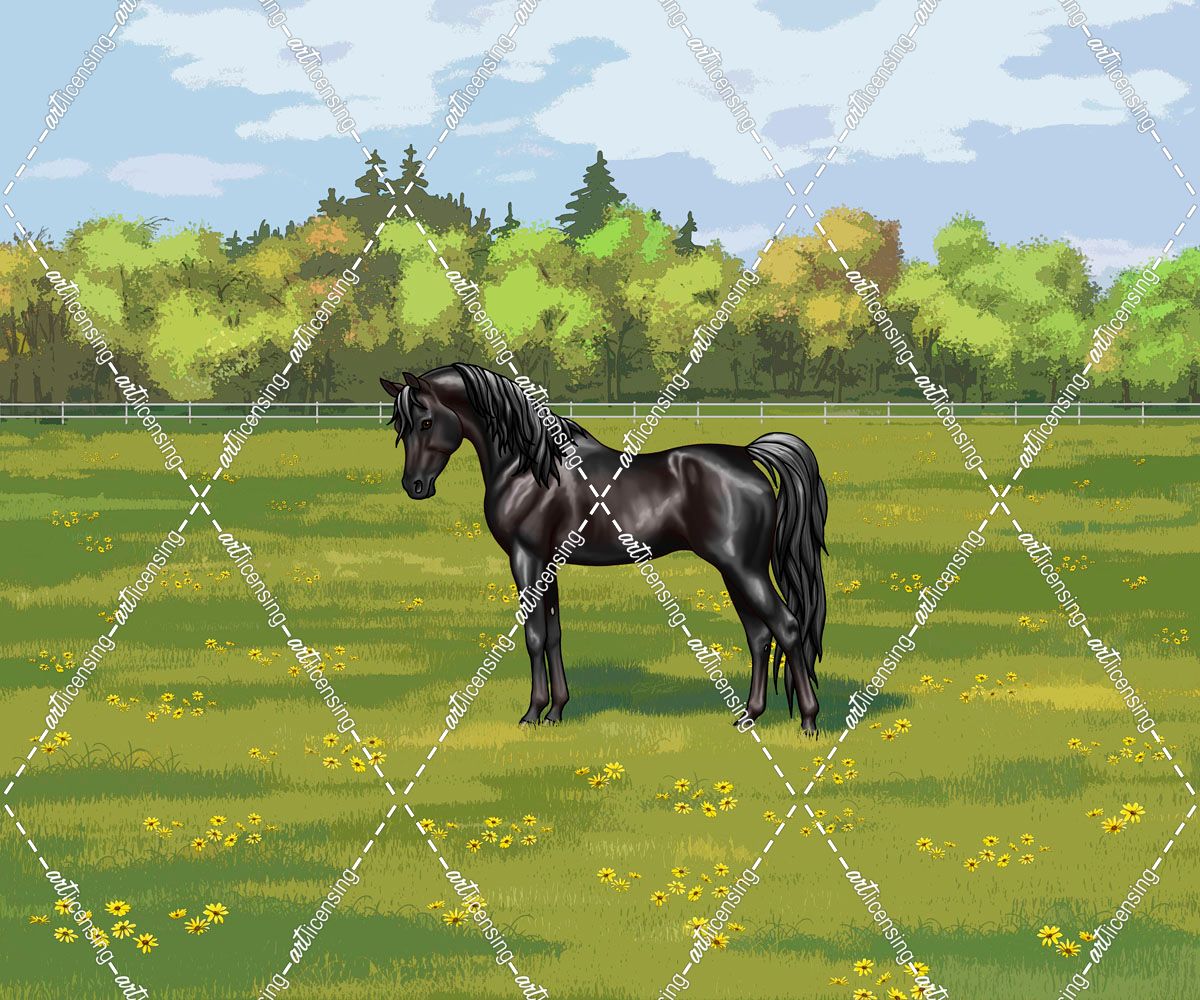 Arabian Horse Standing Spring Pasture Black