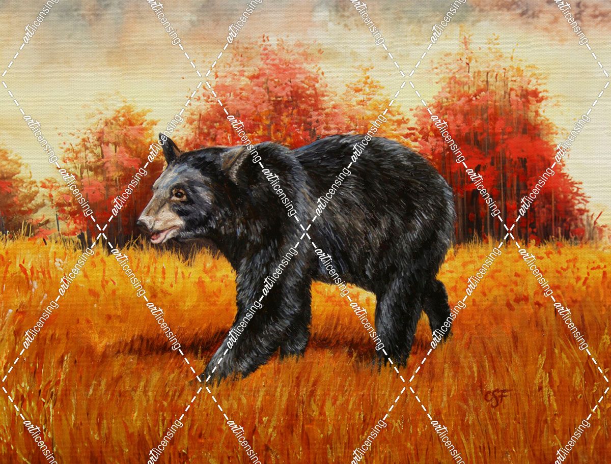 Black Bear Autumn Stroll