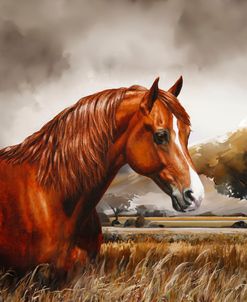 Flame – Chestnut Morgan Horse