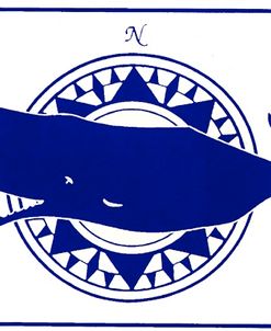 Ca111