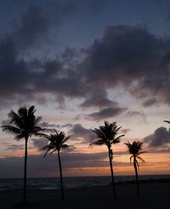 Haulover Sunrise 6