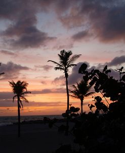 Haulover Sunrise 9