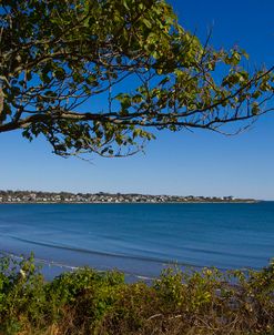 Shoreline 2