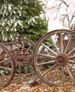 Wagon in Winter