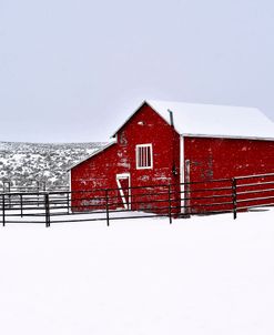 Red Barn In Winter