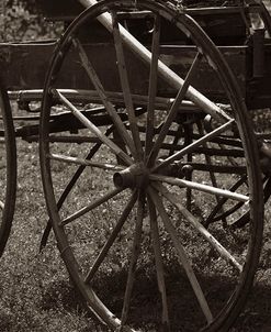 Wagon Wheel