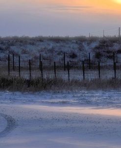 Early Morning Winter