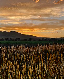 Sunset Over Bear Tooth