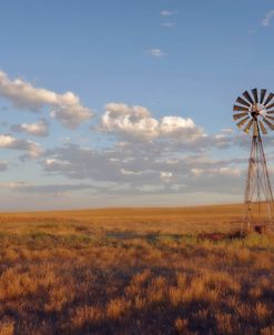 South Leunberger Windmill At Sunset