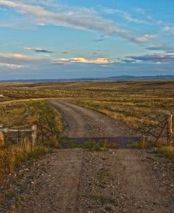 Knowing Which Cattle Guard To Cross